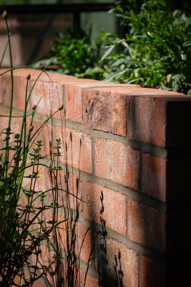 Sauber gemauerte Backsteinmauer mit roten Ziegeln, teilweise im Schatten, umgeben von grünen Pflanzen. Beispiel für klassische Maurerarbeit in Lübeck-Moisling Backsteinmauer mit Pflanzen. Maurerarbeit in Lübeck Moisling