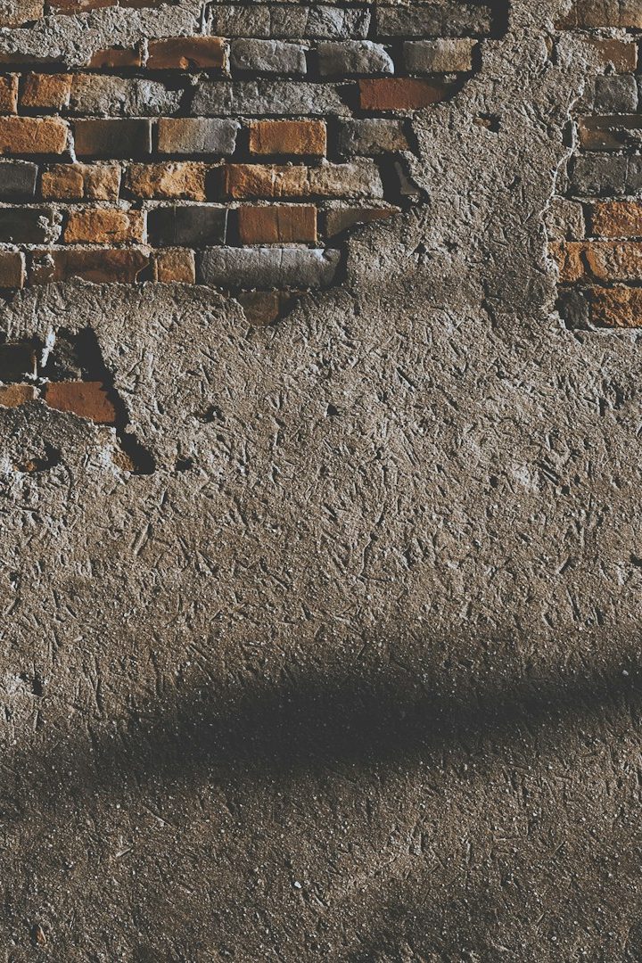 Sauber gemauerte Backsteinmauer mit roten Ziegeln, teilweise im Schatten, umgeben von grünen Pflanzen. Beispiel für klassische Maurerarbeit in Lübeck-Moisling Backsteinmauer mit Pflanzen. Maurerarbeit in Lübeck Moisling