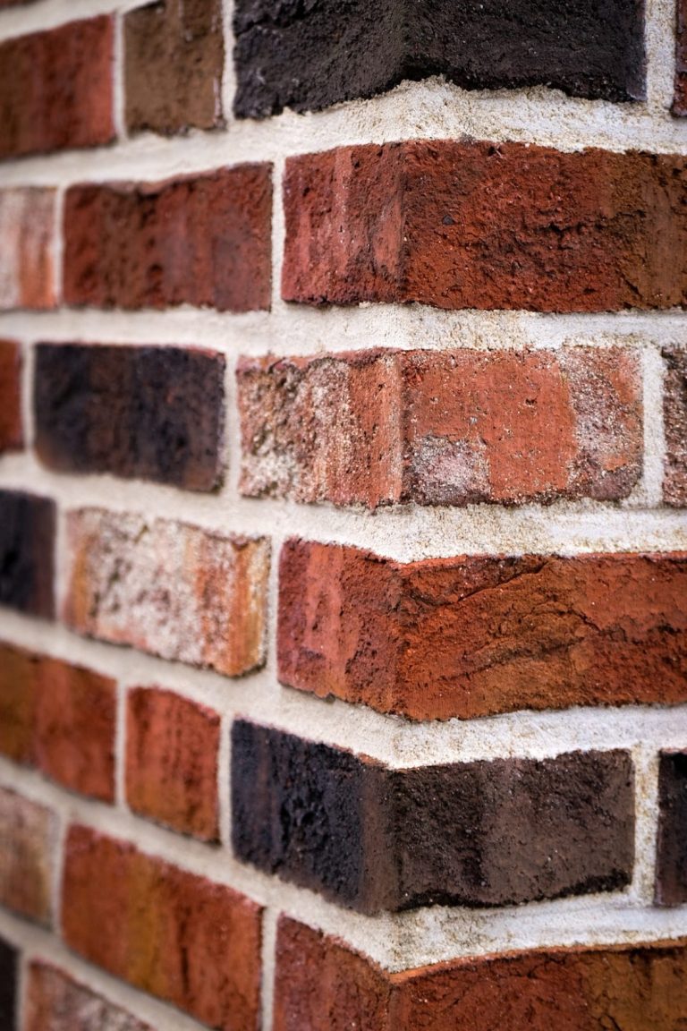 Sauber gemauerte Backsteinmauer mit roten Ziegeln, teilweise im Schatten, umgeben von grünen Pflanzen. Beispiel für klassische Maurerarbeit in Lübeck-Moisling Backsteinmauer mit Pflanzen. Maurerarbeit in Lübeck