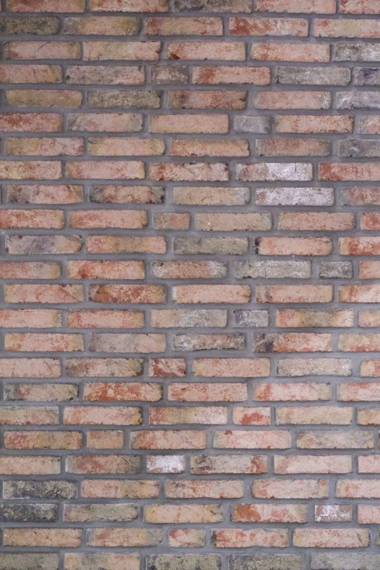 Sauber gemauerte Backsteinmauer mit roten Ziegeln, teilweise im Schatten, umgeben von grünen Pflanzen. Beispiel für klassische Maurerarbeit in Lübeck-Moisling Backsteinmauer mit Pflanzen. Maurerarbeit in Lübeck Moisling